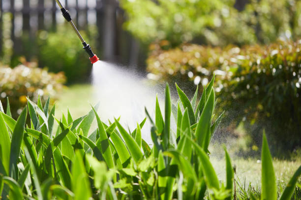 Tamper-Resistant Bait Stations for Rodents in Hinsdale