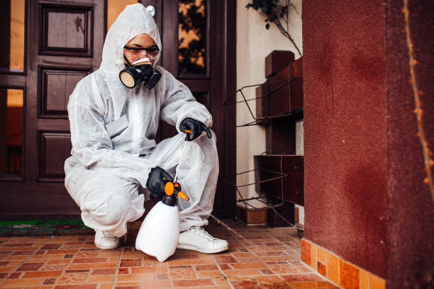 Attic and Crawl Space Rodent Treatment in Hinsdale