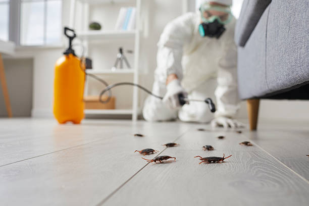 Commercial Rodent Management in Hinsdale